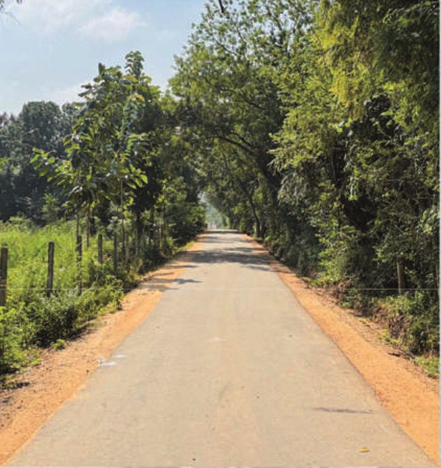 ICDP Project – Hambantota District
